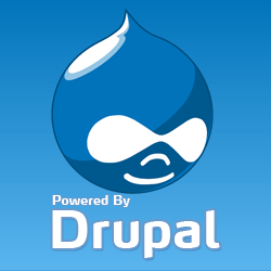 Quale versione Drupal stiamo usando?